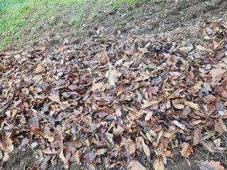 farmer님의 자유주제 · 자유게시판 작성글 사진