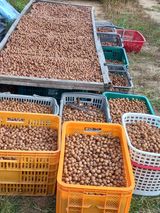 팜모닝 · 게시글 이미지