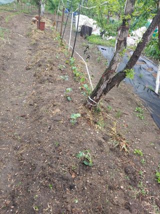 박상현님의 자유주제 · 자유게시판 작성글 사진