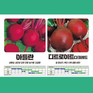 아시아종묘님의 자유주제 · 자유게시판 작성글 사진