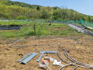 이철희님의 자유주제 · 자유게시판 작성글 사진