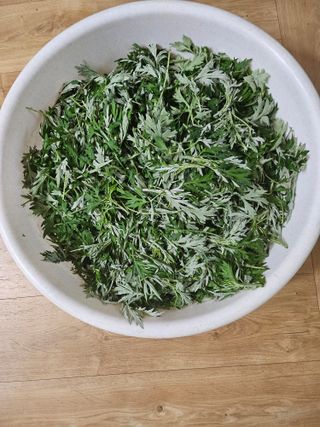 유명숙님의 자유주제 · 자유게시판 작성글 사진