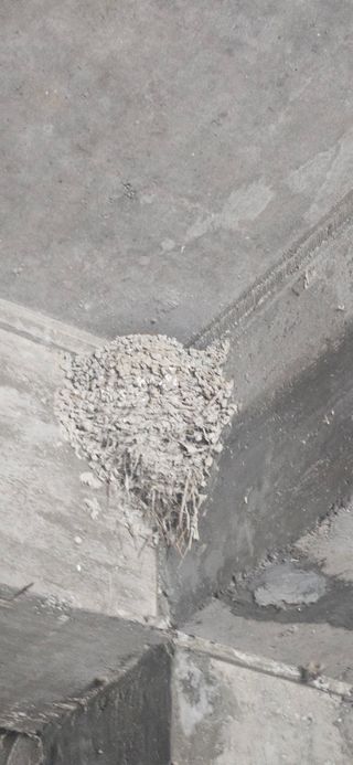 구춘봉님의 자유주제 · 자유게시판 작성글 사진