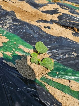 백호순(후추)님의 자유주제 · 자유게시판 작성글 사진