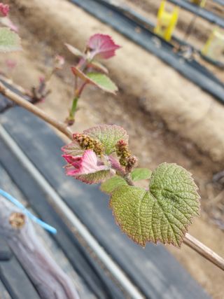 태일농산이정수님의 자유주제 · 자유게시판 작성글 사진