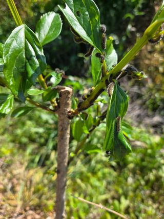 김희영님의 자유주제 · 자유게시판 작성글 사진