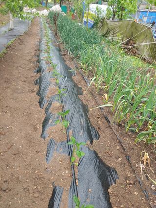 박상현님의 자유주제 · 자유게시판 작성글 사진