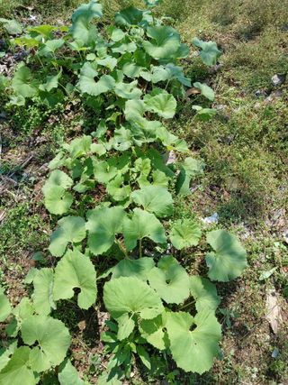 상원(尙沅)님의 자유주제 · 사진전 작성글 사진