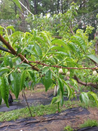 박상현님의 자유주제 · 자유게시판 작성글 사진