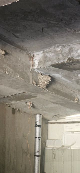 구춘봉님의 자유주제 · 자유게시판 작성글 사진