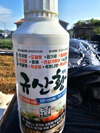 김진영님의 고추 · 비료•농약 작성글 사진