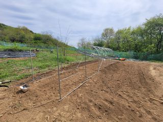 이철희님의 자유주제 · 자유게시판 작성글 사진