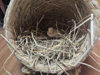 양평동물농장님의 자유주제 · 자유게시판 작성글 사진