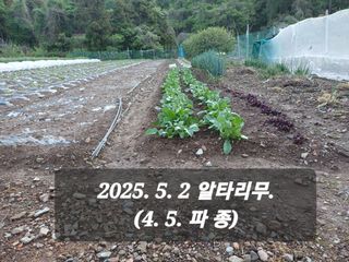 박성민님의 작성글 사진