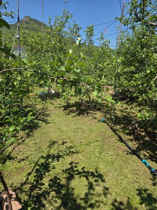 최동구님의 자유주제 · 자유게시판 작성글 사진