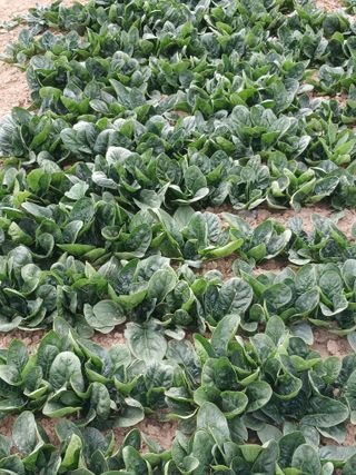 상원(尙沅)님의 자유주제 · 사진전 작성글 사진