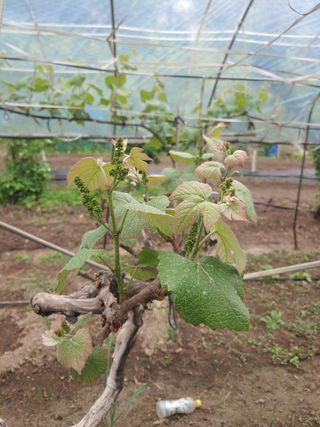 박상현님의 자유주제 · 자유게시판 작성글 사진