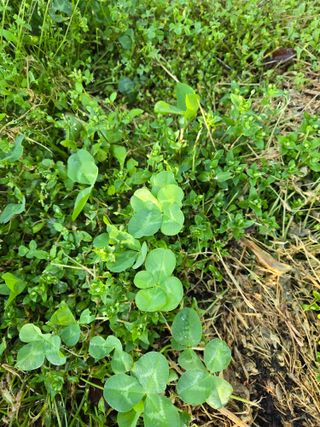 박정희 님의 자유주제 · 자유게시판 작성글 사진