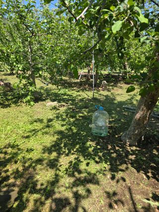 최동구님의 자유주제 · 자유게시판 작성글 사진