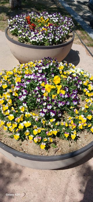 논산 농부 부인님의 작성글 사진