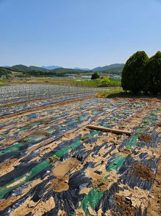 백호순(후추)님의 자유주제 · 자유게시판 작성글 사진