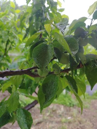 박상현님의 자유주제 · 자유게시판 작성글 사진
