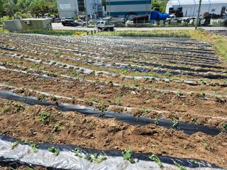 독고다이님의 자유주제 · 자유게시판 작성글 사진