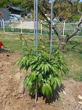 상원(尙沅)님의 자유주제 · 사진전 작성글 사진