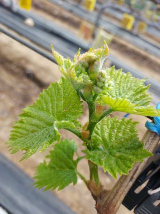 태일농산이정수님의 자유주제 · 자유게시판 작성글 사진