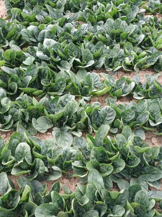 상원(尙沅)님의 자유주제 · 사진전 작성글 사진