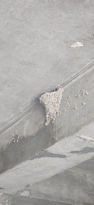 구춘봉님의 자유주제 · 자유게시판 작성글 사진