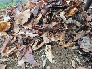 farmer님의 자유주제 · 자유게시판 작성글 사진