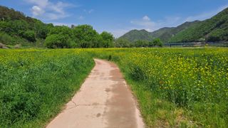 MSG0074님의 자유주제 · 자유게시판 작성글 사진