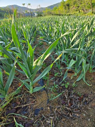 박정희 님의 자유주제 · 자유게시판 작성글 사진