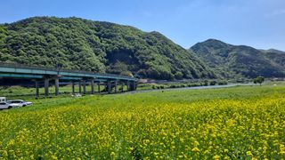 MSG0074님의 자유주제 · 자유게시판 작성글 사진