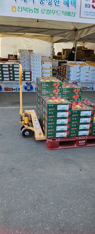 들깨17788님의 농사, 무엇이든 물어보세요! · 참여글 작성글 사진