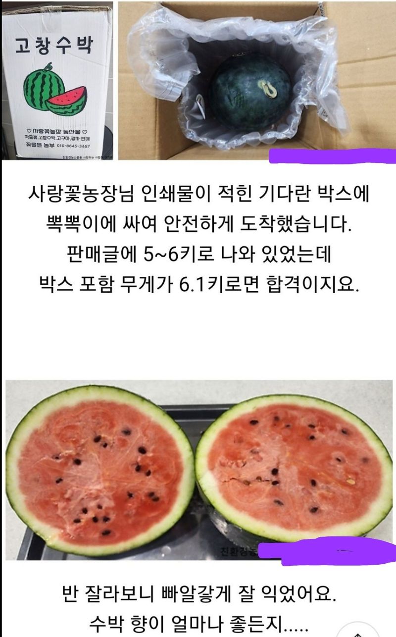 사랑꽃농장님의 장터 판매 상품 [고창 씨없는 수박8kg급] 첨부 사진