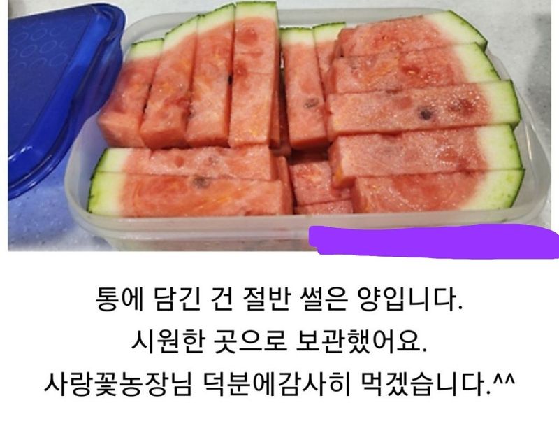 사랑꽃농장님의 장터 판매 상품 [고창 씨없는 수박8kg급] 첨부 사진