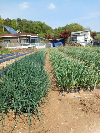 상원(尙沅)님의 자유주제 · 사진전 작성글 사진