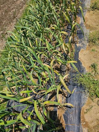 이부균님의 자유주제 · 자유게시판 작성글 사진