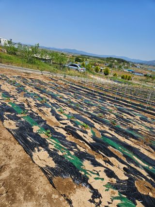 백호순(후추)님의 자유주제 · 자유게시판 작성글 사진
