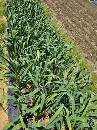 이부균님의 자유주제 · 자유게시판 작성글 사진