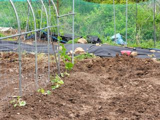 이철희님의 자유주제 · 자유게시판 작성글 사진