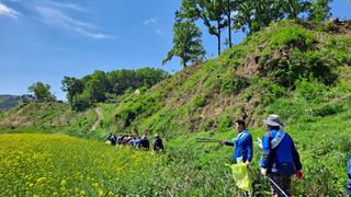 MSG0074님의 자유주제 · 자유게시판 작성글 사진