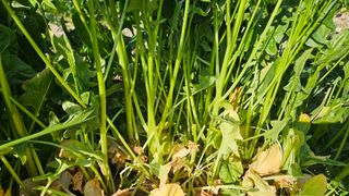 강옥만님의 작성글 사진