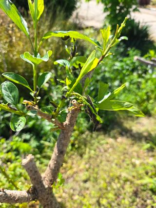 김희영님의 자유주제 · 자유게시판 작성글 사진