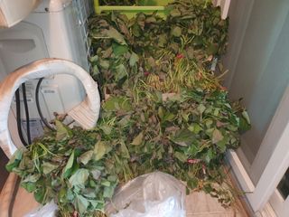 마바리63님의 자유주제 · 자유게시판 작성글 사진