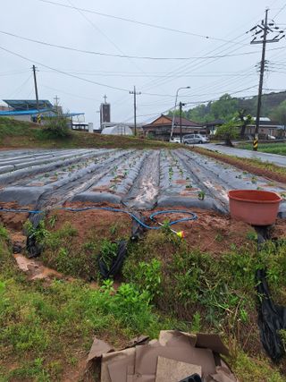 길가다우연히님의 자유주제 · 자유게시판 작성글 사진