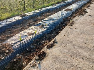 알 수 없음님의 자유주제 · 자유게시판 작성글 사진