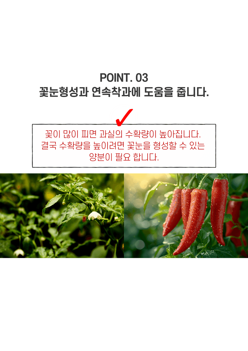 신탄진농약비료마트님의 장터 판매 상품 [고추비료2.5kg 텃밭 주말농장 전용 고추 복합비료] 첨부 사진